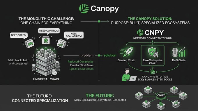An infographic titled 'Canopy' contrasting 'The Monolithic Challenge: One Chain for Everything' with 'The Canopy Solution: Purpose-Built, Specialized Ecosystems,' featuring a Network Connectivity Hub (CNPY) connecting Gaming, RWA/Enterprise, and DeFi chains.
