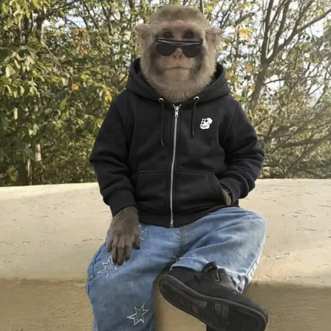 The image features an animal, possibly a monkey or a bear cub, wearing sunglasses and a hoodie with a skull design on it while sitting on a ledge. The caption reads "A Bored Ape is a way of life." This suggests that the animal might be a character from a movie or TV show, as they are described as being bored out of their mind.

The image also includes a pair of blue jeans and black shoes, which further emphasizes the theme of boredom and the animal's unique appearance. The combination of these elements creates an interesting and humorous visual that captures the viewer's attention.