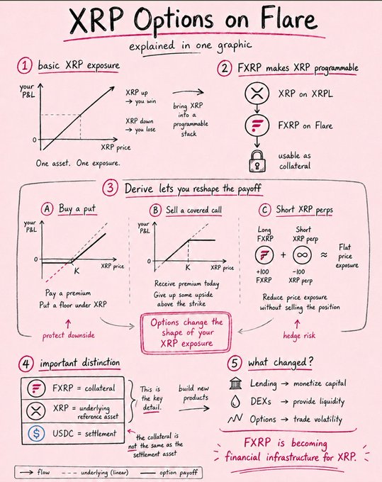 An infographic titled 'XRP Options on Flare explained in one graphic' detailing basic XRP exposure, FXRP, options strategies like puts and calls, and the distinctions between FXRP, XRP, and USDC.