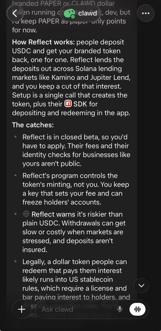 A screenshot of a dark-mode chat titled “branded PAPER or CLAWED dollar” discussing “How Reflect works,” Solana-based USDC lending, Jupiter, beta access, private fees, minting risk, withdrawal delays, and legal lending rules.