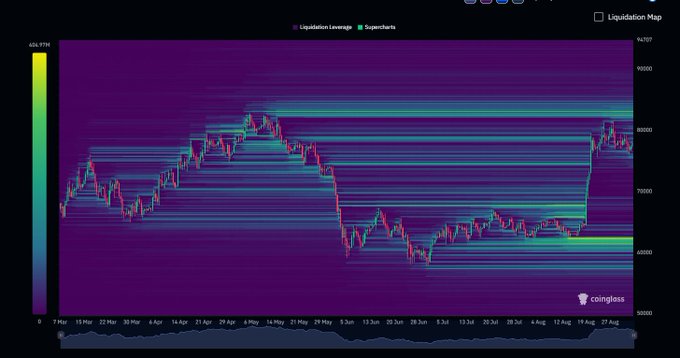 A Coinglass liquidation heatmap for Bitcoin (BTC) from March to August, showing price action ranging between ~$60,000–$84,000 and horizontal bands of long leverage clustered heavily around the $70,000 and $80,000 levels, with a notable volume spike near the $64,000 region. The chart visually supports the post's argument that underlying long positions and market maker bids may prevent Bitcoin from pulling back further despite bearish sentiment.