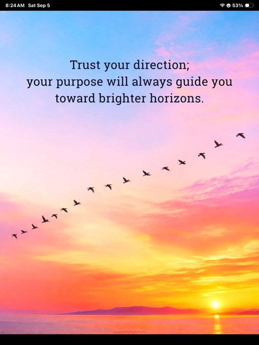An inspirational graphic with birds flying across a sunset sky and text reading 'Trust your direction; your purpose will always guide you toward brighter horizons.'