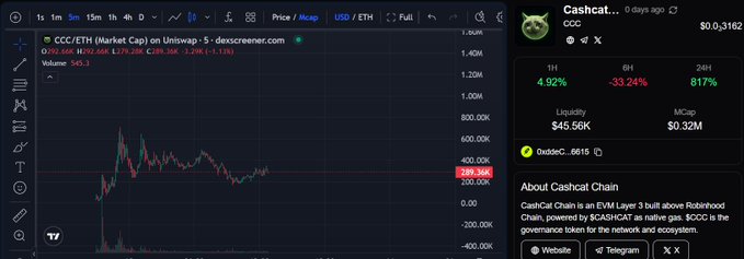 A Dexscreener chart for the Cashcat (CCC) token on the Polygon network showing a price of $0.3162, an 817% 24-hour gain, $45.56K liquidity, and a $0.32M market cap.