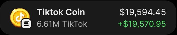 A trading dashboard displays a TikTok Coin holding of 6.61M tokens valued at $19,594.45, showing an unrealized gain of +$19,570.95. The image illustrates the post's claim of turning a $583 investment into over $25,000 profit, with this screenshot capturing the remaining $19,200 worth of tokens still being held.