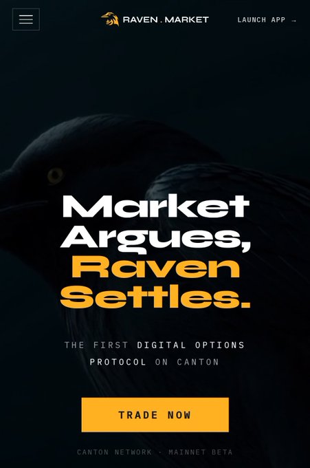 The image shows a website called Raven Market, which appears to be an online marketplace where people can buy and sell digital options. The website has a clean and modern design with a black background and white text. It features a bird logo on the left side of the page, symbolizing freedom and choice in trading. The main content of the image is focused on the trading experience itself, showcasing what it looks like once users arrive at the site and start trading digital options.