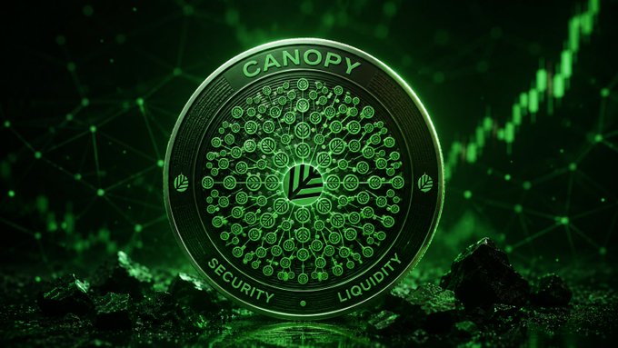 Digital render of a glowing green 'CANOPY' cryptocurrency coin displaying 'SECURITY' and 'LIQUIDITY' text, set against a dark background with green candlestick chart graphics.