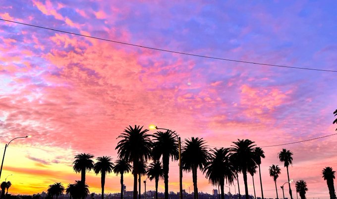 A vibrant sunset sky with pink and orange hues over silhouettes of palm trees, with power lines crossing the scene.