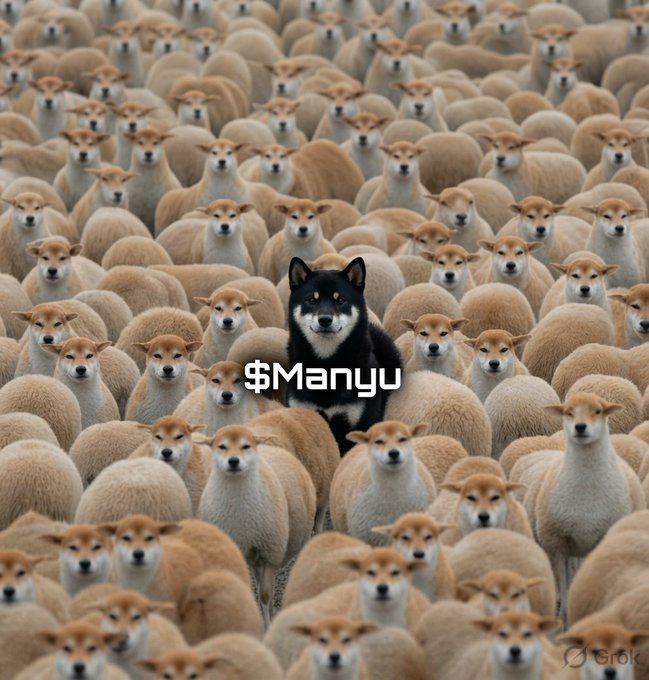 A black Shiba Inu dog stands out among a large flock of white sheep, with the text '$Manyu' overlaid on the image.