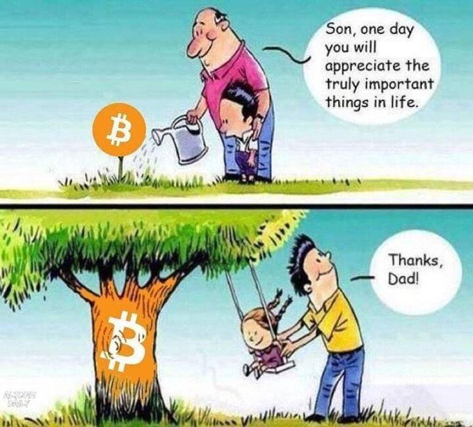 A two-panel cartoon depicting a father watering a small Bitcoin seedling and telling his son 'one day you will appreciate the truly important things in life,' while the grown son swings his daughter from a large, flourishing Bitcoin tree, responding 'Thanks, Dad!'