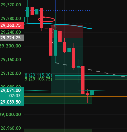 A stock chart showing a sharp downward price movement on what appears to be YM (Dow futures) with values dropping from around 29,320 to below 29,070, featuring candlestick patterns, a 5/8 retracement zone (29,103.75-29,115.00), and horizontal support lines at 29,224.25 and 29,059.50, which illustrates the trader's call about market manipulation and the failed short entry on a large green candle before continuing lower.