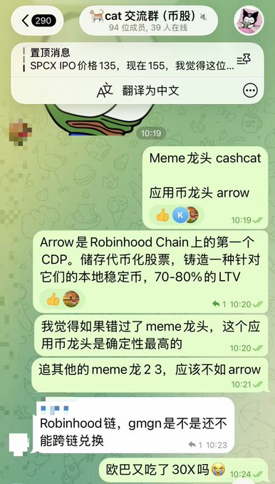 Screenshot of a Chinese Telegram group chat ("cat 交流群") discussing crypto investments, specifically identifying Cashcat as the leading meme coin and Arrow (on Robinhood Chain) as the leading application token with high LTV (70-80%) for tokenized stock trading.