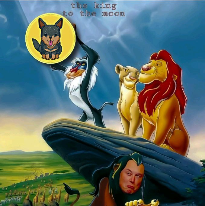 The image features a poster for "The King to the Moon" featuring cartoon characters such as lions, zebras, and a dog holding up a yellow coin. The caption reads "The King to the Moon", which is related to the movie's title. A man with a beard is also present in the image, possibly representing an actor or character from the film.