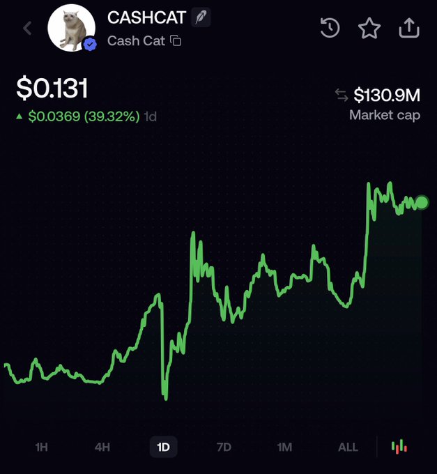 The image shows a cryptocurrency price chart for "CASHCAT" displaying a current price of $0.131, up $0.0369 (39.32%) in 1 day, with a market cap of $130.9M. The chart illustrates the token's recent price action on a 1D timeframe, showing volatile upward movement that aligns with the post's bullish sentiment about CASHCAT potentially reaching a $1B market cap and the anticipation of related runner tokens launching on their platform.
