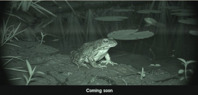 A night vision or low-light photo of a frog sitting on the muddy bank of a pond with lily pads, with "Coming soon" text at the bottom.