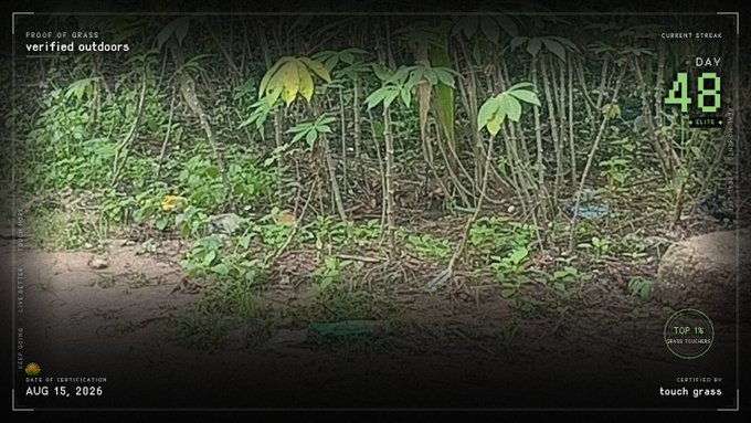 An outdoor scene of grass and weeds with overlay text reading 'PROOF OF GRASS verified outdoors', 'CURRENT STREAK DAY 48', and 'CERTIFIED BY touch grass' with an August 15, 2026 timestamp.