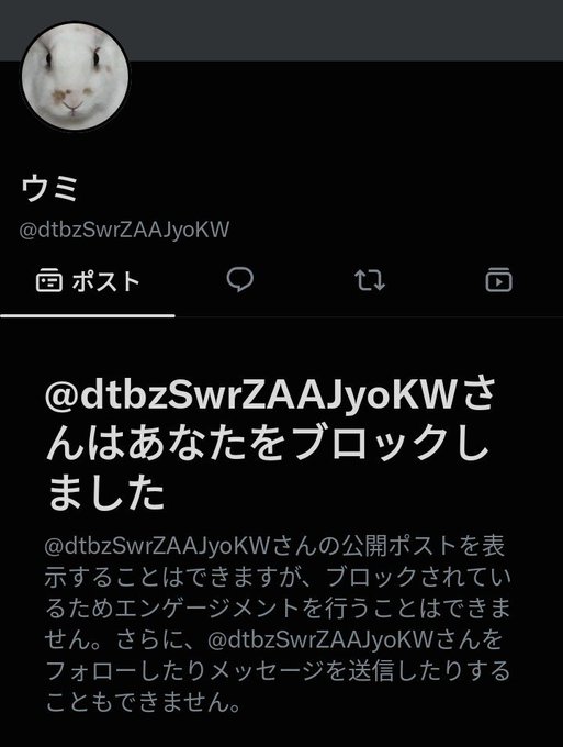 A screenshot of an X (formerly Twitter) profile page showing that the account "@dtbzSwrZAAJyoKW" has blocked the user, with the Japanese text indicating "this person has blocked you," referencing a crypto-related account discussion about XRP and XLM mentioned in the post.