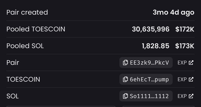 A liquidity pool dashboard for the $TOESCOIN/SOL pair, showing the pool was created 3 months and 4 days ago with 30,635,996 $TOESCOIN (~$172K) and 1,828.85 SOL (~$173K) pooled, which the post uses as raw data to project potential gains (e.g., 5 SOL growing to 223 SOL at a $250M market cap target).