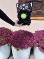 A small figure with a black cat head and green shirt standing next to a planter filled with pink flowers and white egg-shaped objects.