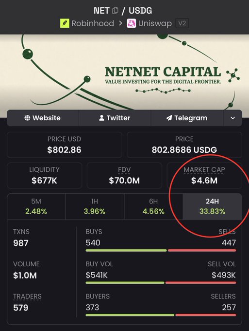 A cryptocurrency tracker screenshot for NET/USDG token by NETNET CAPITAL, showing a price of $802.86, market cap of $4.6M, and a notable 33.83% gain in 24H (highlighted in red), along with transaction data from Robinhood and Uniswap V2.