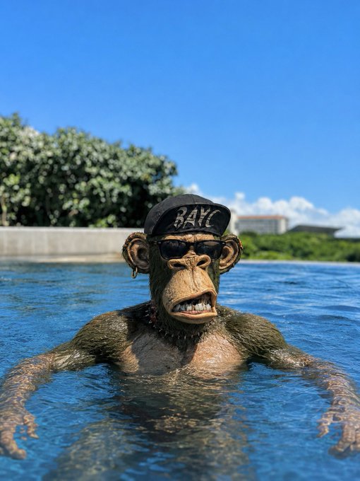 The image features a monkey wearing sunglasses, goggles, and a hat with the word "BAYC" written on it. The monkey appears to be swimming or floating in water, possibly an indoor pool. The caption of the image reads "gm legends".