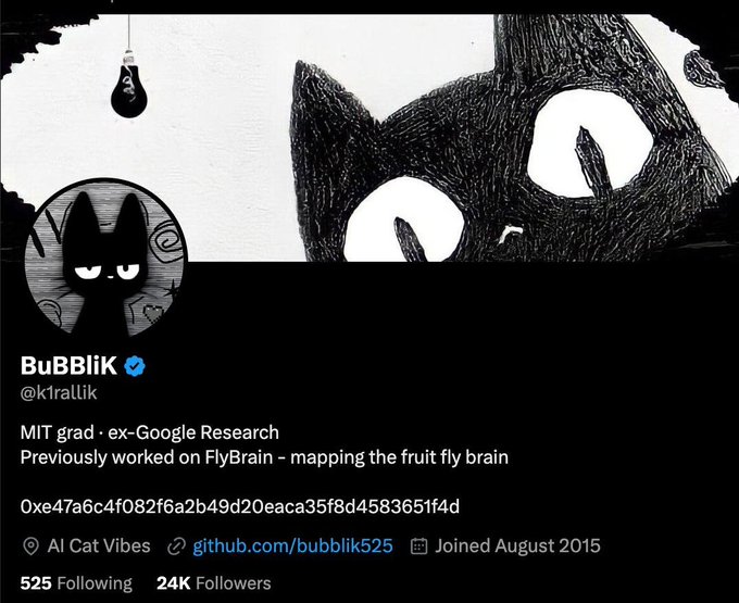 A Twitter profile for "BuBBliK @k1rallik," an MIT grad and ex-Google Research scientist who previously worked on the FlyBrain project, displays a black cat illustration and the contract address "0xe47a6c4f082f6a2b49d20eaca35f8d4583651f4d." The accompanying post announces this as the official token of the CatBrain project, tying the profile's cat-themed branding and neuroscience background to the new venture.