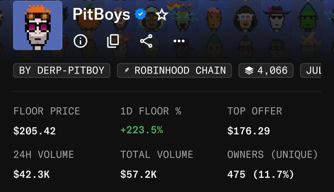 The image shows an NFT collection page for "PitBoys" with a floor price of $205.42, a 1D floor increase of +223.5%, and 24H volume of $42.3K, hosted on the Robinhood Chain with 4,066 items. This data helps explain the poster's confusion by showing the collection's surprisingly high valuation and recent surge, which likely prompted them to investigate where PitBoys came from.