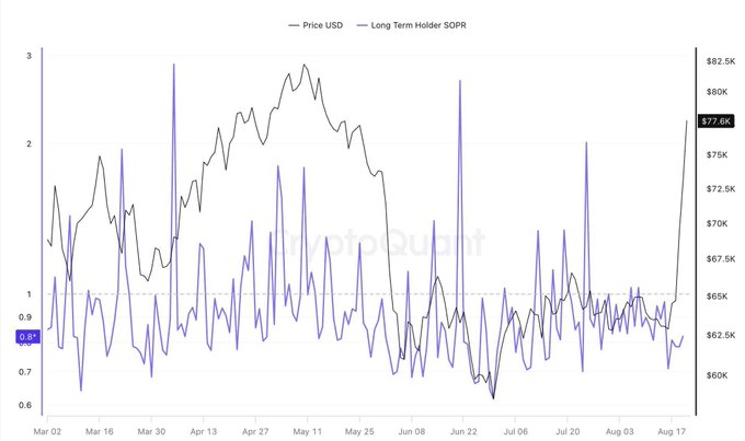 A CryptoQuant graph showing Bitcoin price (black line) rising to $77.6K alongside the Long-Term Holder SOPR indicator (purple line, currently at 0.81), with the price spike in August coinciding with long-term holders selling at an average 20% loss, illustrating how ETF demand absorbed this losing supply to fuel the rally.