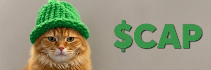 The image features an orange cat wearing a green hat, sitting against a gray background with the caption "Ansem was the reason a Dog with a Hat went to 5 Billion in market cap what if we tried that with a Cat wif a Cap?". The cat is wearing a knit hat and appears to be looking at the camera.