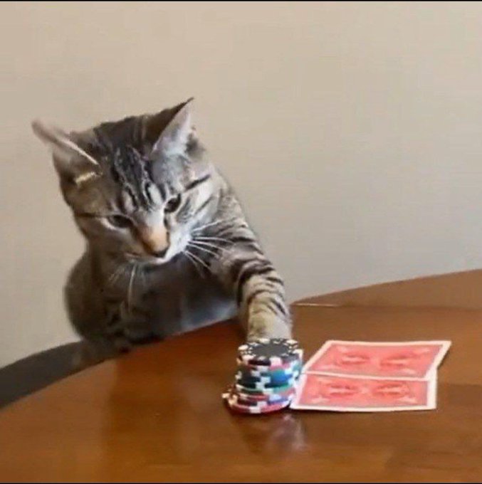 A tabby cat on a wooden table stares intently while reaching its paw toward a stack of colorful poker chips next to two red playing cards.