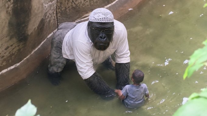 A gorilla dressed in a white shirt and crocheted cap stands in shallow water beside a small child. The meme evokes the deceased gorilla Harambe, the inspiration behind the $HARAM token paired with Bloom Energy ($BE), as referenced in the post.