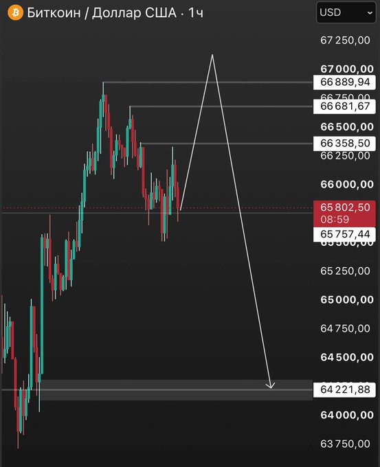 A Bitcoin/USD 1-hour chart shows price currently around $65,802, with drawn projections anticipating a possible wick up toward $67,250 before a sharp drop down to $64,221, illustrating the analyst's bearish setup to trap longs before a real correction.