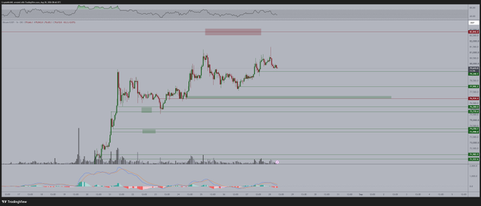 A Bitcoin price chart displays recent price action around the $79,000–$81,000 range with annotated support zones at approximately $79,300, $77,900, and $76,900, visually reinforcing the post's analysis that the recent high sweep likely precedes a pullback to test these lower support areas rather than continued upside.