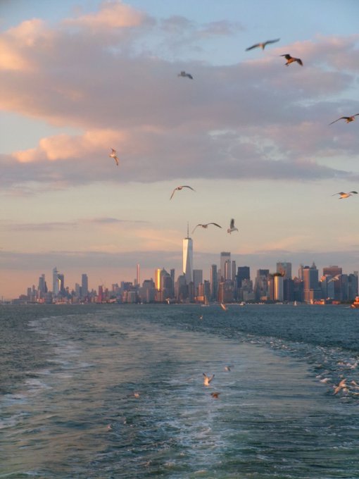 A scenic view of the New York City skyline at sunset, featuring the One World Trade Center, with seagulls flying over the water and a boat wake trailing in the foreground.