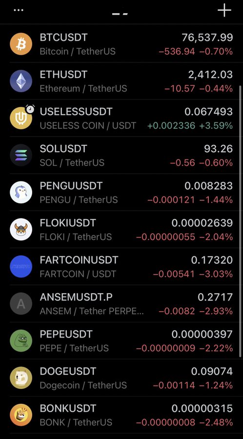 A cryptocurrency trading app listing various coins including BTCUSDT (76,537.99), ETHUSDT (2,412.03), USELESSUSDT, SOLUSDT, PENGUUSDT, FLOKIUSDT, FARTCOINUSDT, ANSEMUSDT.P, PEPEUSDT, DOGEUSDT, and BONKUSDT with their prices and percentage changes.