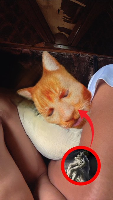 An orange cat with closed eyes rests on someone's lap, with a red circle in the corner showing a reference image of the "The Thinker" statue.