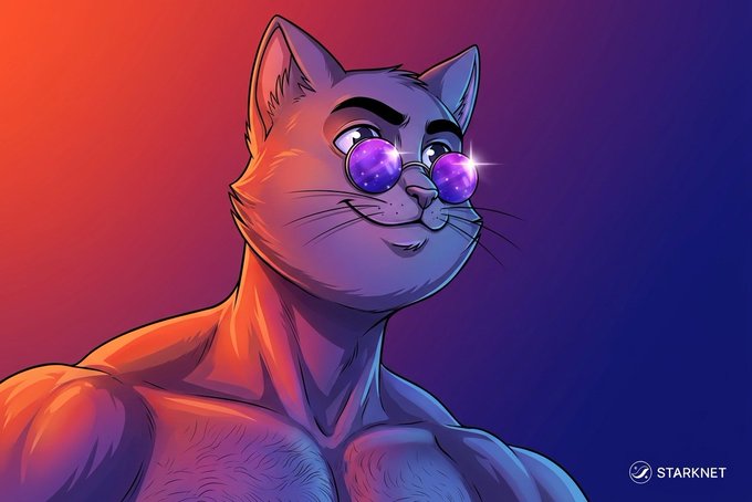 A digital illustration of a muscular, anthropomorphic cat with sparkling galaxy-like eyes against a vibrant orange and purple gradient background, with a 'STARKNET' logo in the bottom right corner.