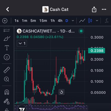A mobile chart view of $CASH CAT (CASHCAT/WET) on a 1D timeframe shows a current price of 0.2398, up 23.61%, with the price hovering near resistance at 0.2398 after recent upward momentum, suggesting an imminent breakout attempt.