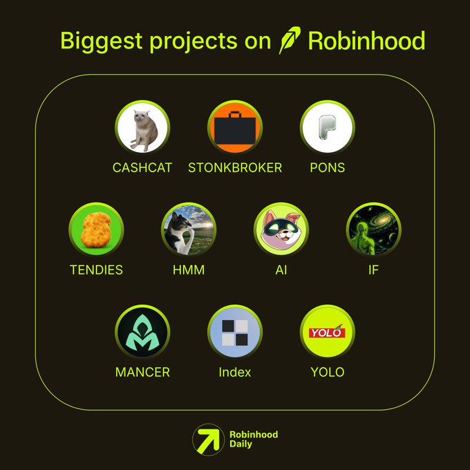 A dark-themed graphic titled "Biggest projects on Robinhood" displays nine circular icons representing popular Robinhood community tickers: CASHCAT, STONKBROKER, PONS, TENDIES, HMM, AI, IF, MANCER, Index, and YOLO, with the Robinhood Daily logo at the bottom. The image visually showcases the trending tickers mentioned in the post, inviting users to weigh in on which meme-inspired projects they're investing in next.