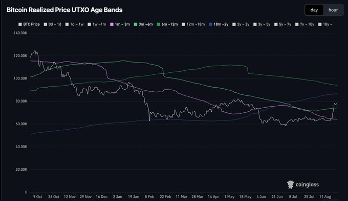 The image is a Coinglass chart titled "Bitcoin Realized Price UTXO Age Bands" showing BTC price action (white line) against multiple realized price bands from 0d to 10y, with the 3m–6m band (green) sitting near $73,500–$95,000 and the current price hovering around $75,000 after reclaiming that level — visually illustrating the post's claim that the 3m–6m cost basis has flipped from resistance into support.
