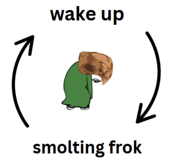 A Wojak-style meme shows a hunched figure in a green cloak with circular arrows indicating an infinite loop between "wake up" and "smolting frok."