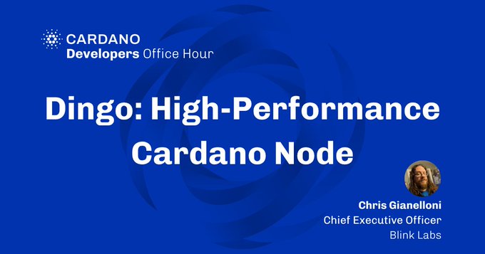 The image features a blue banner with white text that reads "DINGO: High Performance Cardano Node" and includes a photo of a person's face, likely an executive or expert in the field. The caption below the image states "Join Chris Gianelloni ( @ wolf31o2 ) from Blink Labs at this week’s Cardano Dev Office Hours!".