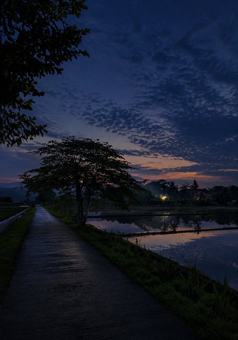 A serene twilight landscape features a path running alongside rice paddies under a dark, cloud-streaked blue sky.