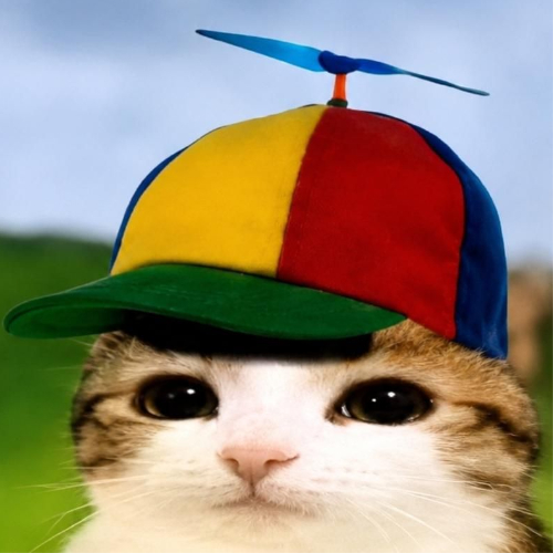 A cat wearing a colorful propeller hat (yellow, red, blue, and green panels) sits against a grassy background, which appears to be the "propeller cat" PFP mentioned in the post about crypto personality OZZY (Pons CEO) showcasing the app associated with $PCAT.