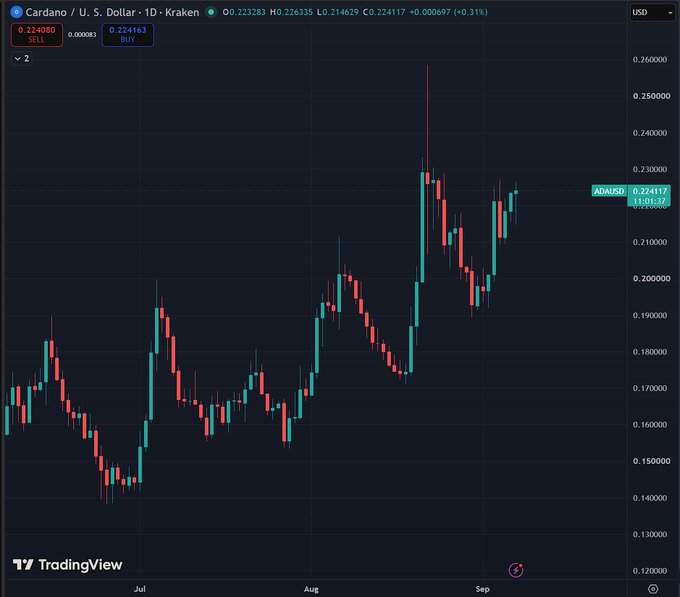 A TradingView candlestick chart showing Cardano (ADA/USD) on a daily timeframe from Kraken, with a current price around $0.224 and a recent high near $0.260.