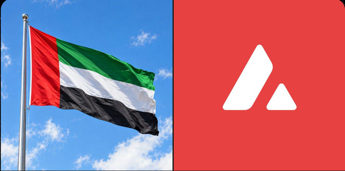 A split image showing the flag of the United Arab Emirates waving against a blue sky on the left, and a red background with the white Avanti (AVGO) company logo on the right.