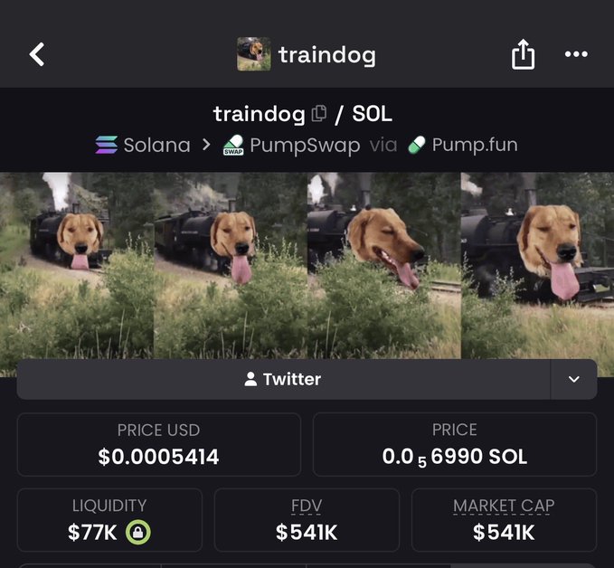 This image shows the details of a cryptocurrency called "traindog," a Dogecoin token on the Solana blockchain, with a market cap of $541K, and a collage of dogs' heads superimposed onto steam trains. The user's post about this $100M dog coin implies a significant, potentially speculative, investment, contrasting with the snapshot's current market cap.