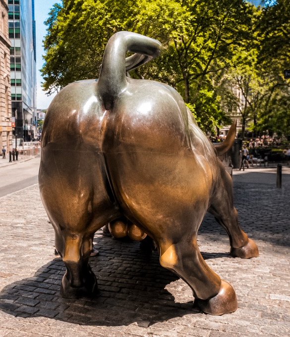 A rear view of a large bronze bull statue standing on a cobblestone street with trees and buildings in the background.