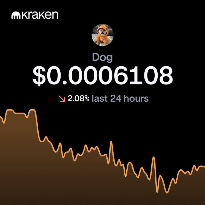 A Kraken exchange screenshot showing the DOG token price at $0.0006108 with a 2.08% decrease over 24 hours, accompanied by a downward trending orange chart.
