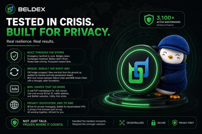 A promotional graphic for BELDEX featuring a penguin mascot in a blue cap and scarf, with text 'TESTED IN CRISIS. BUILT FOR PRIVACY.' and information about 3,100+ active masternodes.