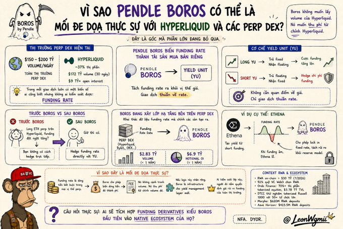 A Vietnamese infographic titled 'VÌ SAO PENDLE BOROS CÓ THỂ LÀ MỐI ĐE DOẠ THỰC SỰ VỚI HYPERLIQUID VÀ CÁC PERP DEX?' comparing traditional vs. Pendle Boros yield units.